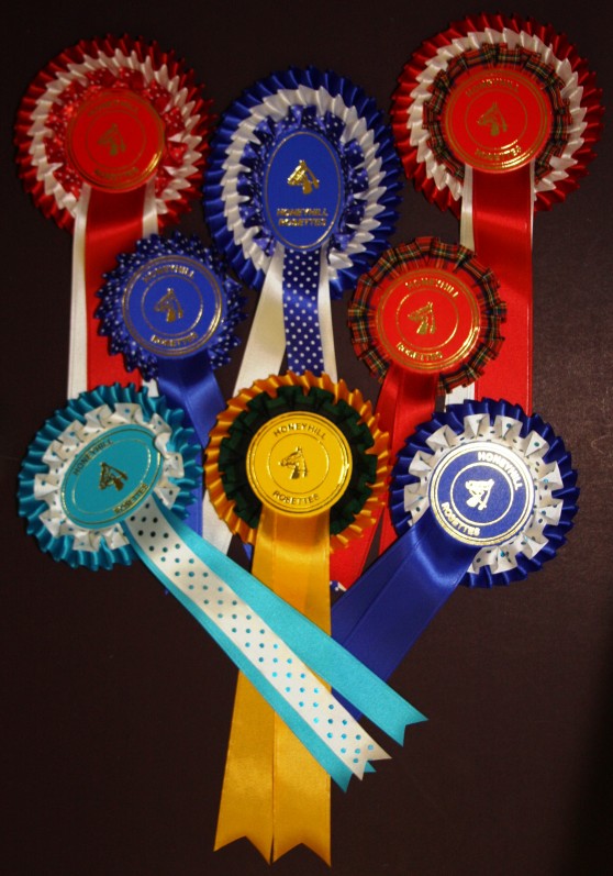 Spotted & Tartan Rosettes